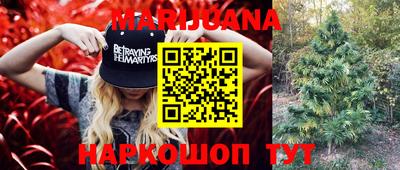 сатива Ирбит