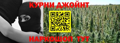 сатива Ирбит