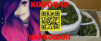 сатива Ирбит