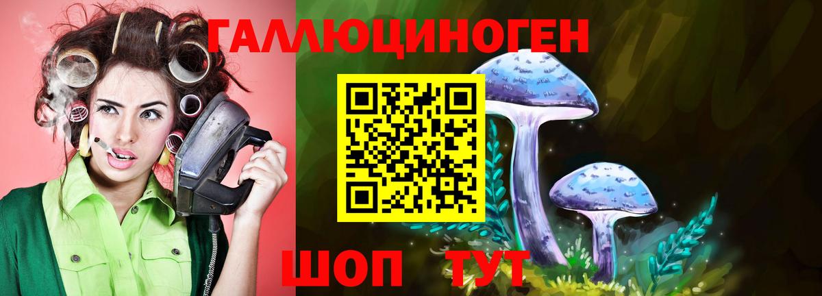 Псилоцибиновые грибы прущие грибы Красноперекопск